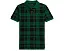 Детская поло из хлопкового сетчатого полотна Polo Ralph Lauren Kids в клетку с вышитой лошадкой