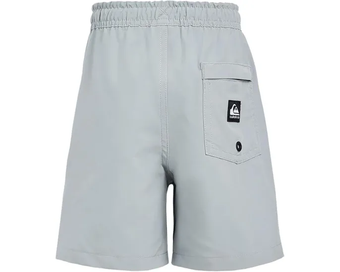 Детские шорты Quiksilver Taxer Amphibian с водоотталкивающим покрытием