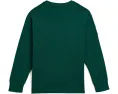Футболка Big Pony Cotton Long Sleeve Tee от Polo Ralph Lauren Kids