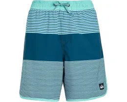 Детские пляжные шорты Surfsilk Tijuana Volley с карманом Quiksilver Kids