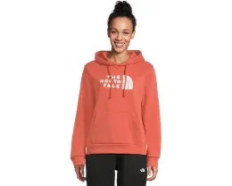 Худи The North Face Evolution Sketch Logo Half Dome с графическим принтом