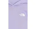 Худи The North Face Evolution Box NSE с капюшоном для детей