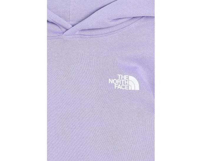 Худи The North Face Evolution Box NSE с капюшоном для детей