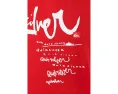 Футболка Quiksilver YG Impaired с принтом
