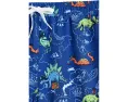 The Rex Marks The Spots Lined Swim Trunk (Big Kid)