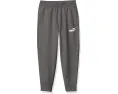 Детские спортивные штаны Puma Core Logo Jogger