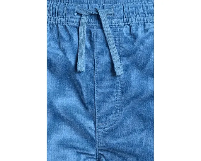 Quiksilver Kids Детские шорты Taxer Cord из мягкого вельвета с расслабленным кроем