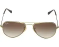 RJ9506S Aviator Sunglasses (Little Kid/Big Kid)