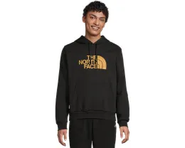 Толстовка The North Face Evolution с капюшоном и принтом Regenerative Ink