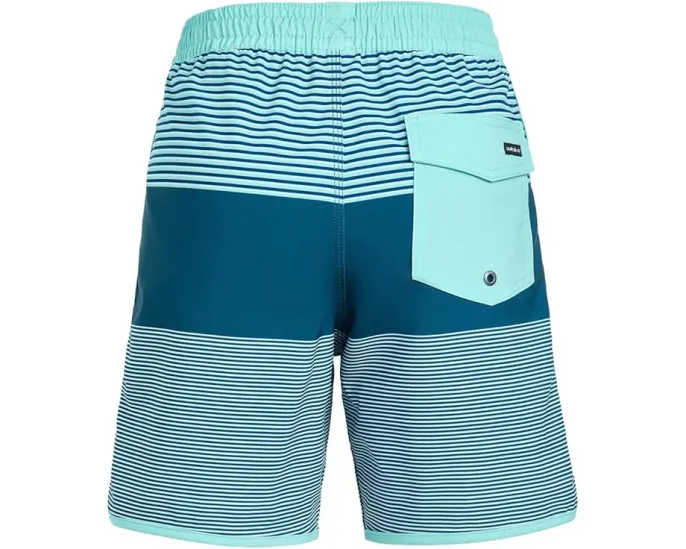 Детские пляжные шорты Surfsilk Tijuana Volley с карманом Quiksilver Kids