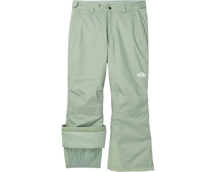 Утепленные штаны The North Face Freedom для детей с технологией DryVent