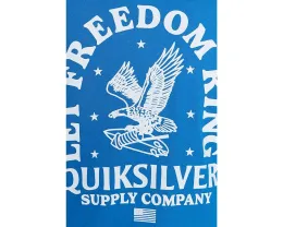 Футболка Quiksilver Freedom Ring с принтом
