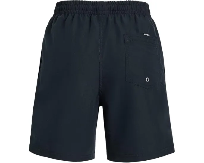 Детские шорты Everyday Liner Volley с внутренними шортами Quiksilver Kids