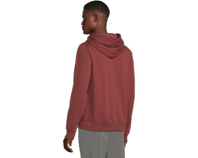 Толстовка The North Face Evolution TNF Bear с капюшоном и графикой