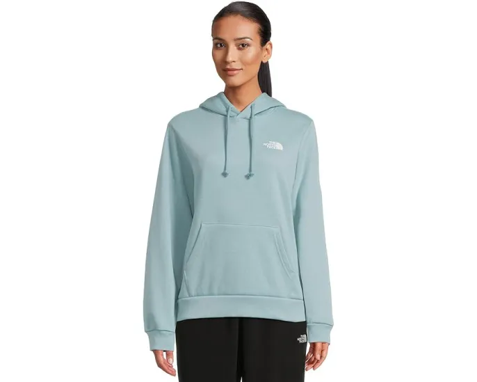 Худи The North Face Evolution Box NSE с принтом и капюшоном