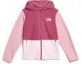 Худи The North Face Glacier Full Zip с капюшоном для малышей