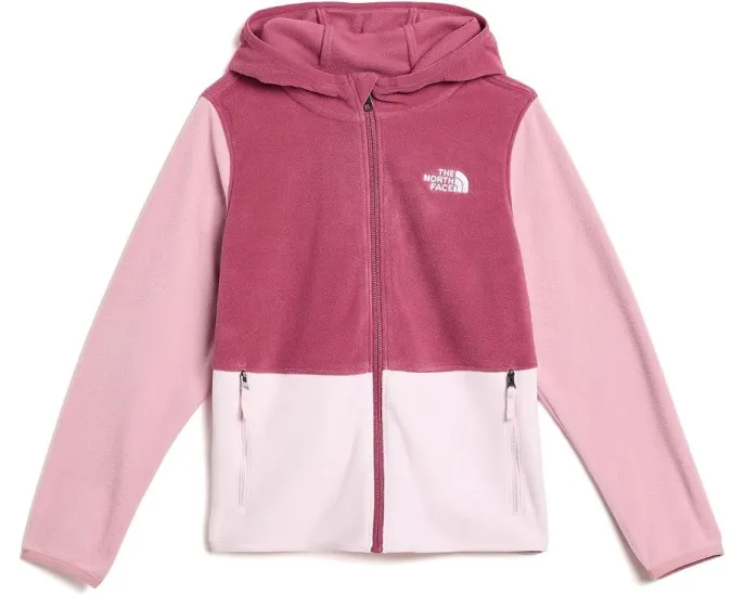 Худи The North Face Glacier Full Zip с капюшоном для малышей