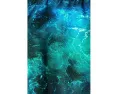 Плавки Waves Deux par Deux с принтом для мальчиков