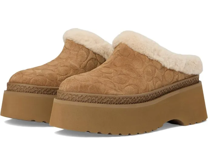 Сабо COACH Cecelia из замши с подкладкой из овчины