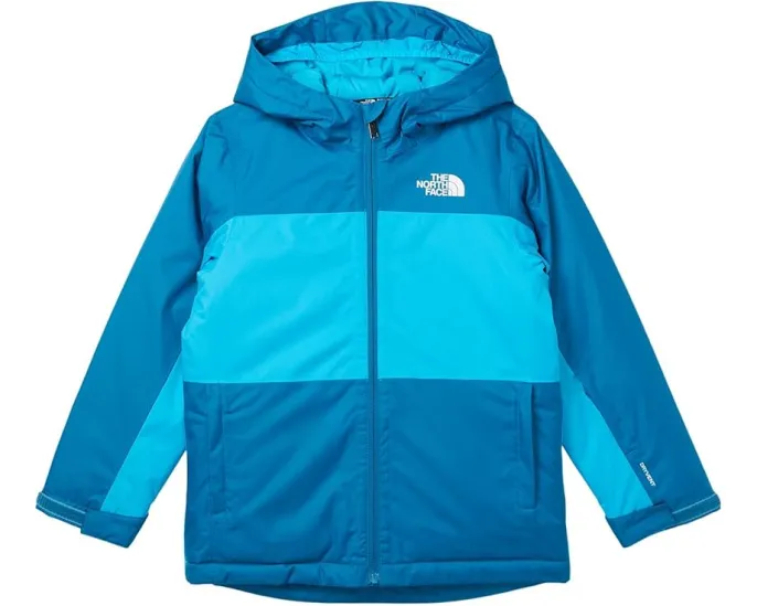 Детская утепленная куртка The North Face Freedom с водонепроницаемым покрытием и юбкой от снега