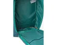 Туристический рюкзак Cotopaxi Allpa 50L с отстегивающейся сумкой