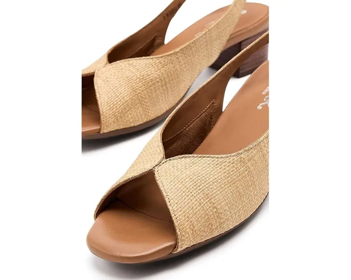 Сандалии SoftWalk Lakewood из кожи с регулируемой пряжкой и устойчивым каблуком