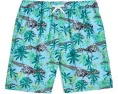 Плавки Skeleton Boardshorts из переработанного полиэстера