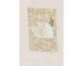 Футболка The North Face с коротким рукавом и цветочным принтом Evolution Floral Box NSE