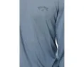 Лонгслив Billabong Arch Mesh LF Hood с капюшоном