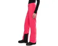 Штаны Spyder Section с утеплителем EXO THERMO