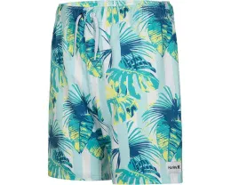 Детские плавки Hurley Kids Cabana Stripe Pull On с полосатым принтом