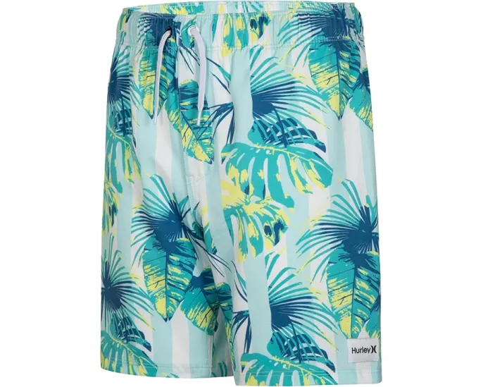 Детские плавки Hurley Kids Cabana Stripe Pull On с полосатым принтом