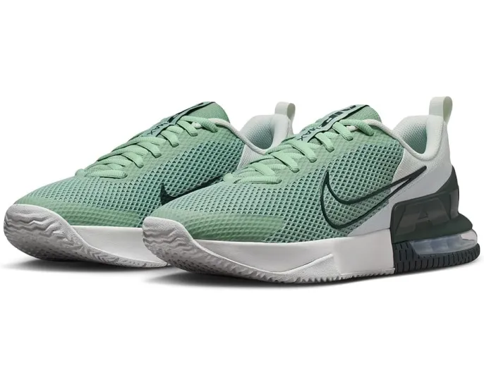 Тренировочные кроссовки Nike Air Max Alpha Trainer 6 с амортизацией Air