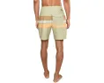 Шорты для серфинга Quiksilver Original Straight Leg 18 с полоской