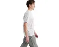 Футболка Arc'teryx Kragg SL Cotton Bird Word Short Sleeve с принтом