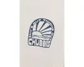 Футболка Chubbies The Sunny Tomorrow с круглым вырезом и короткими рукавами