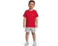 Футболка Lacoste Kids Core Tee из хлопка с вышитым крокодилом