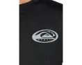 Короткая футболка Quiksilver Hi Everyday Short Sleeve Surf Tee с ярким принтом