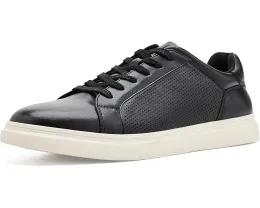 Кеды Steve Madden Philip черные на шнурках