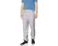 Champion спортивные штаны Cotton Max Fleece серые
