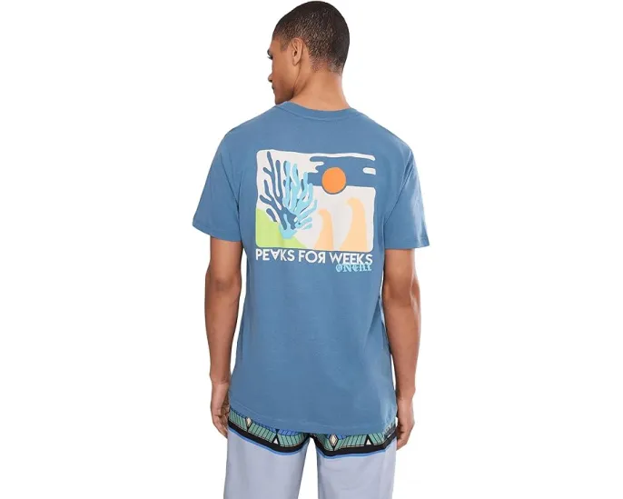 Футболка O'Neill Coral Short Sleeve Classic Tee с коротким рукавом Captain's Blue