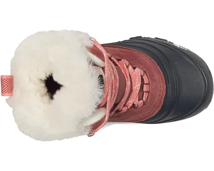 Детские непромокаемые ботинки для походов The North Face Shellista V