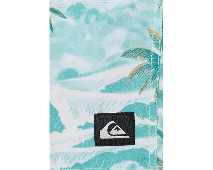 Плавки Quiksilver Mix Volley 17 для активного отдыха