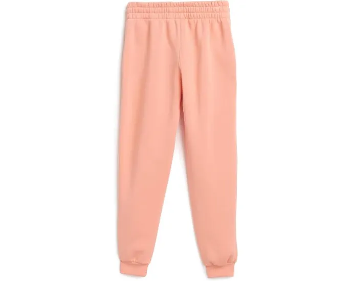Детские спортивные брюки Nike Kids Sportswear Club Fleece Joggers