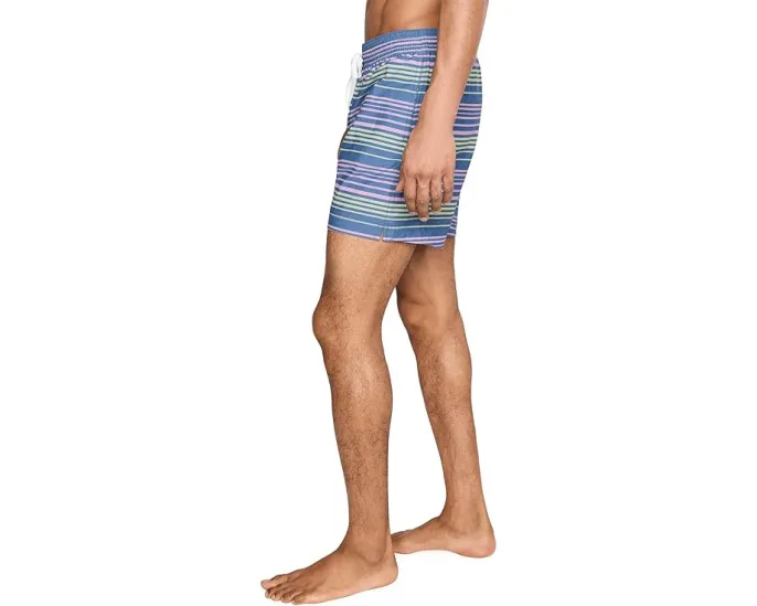 Плавки Chubbies The Blossom Bands 14 см в полоску с защитной подкладкой