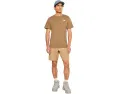 The North Face футболка Evolution TNF NSE Regular с коротким рукавом Caraway Seed