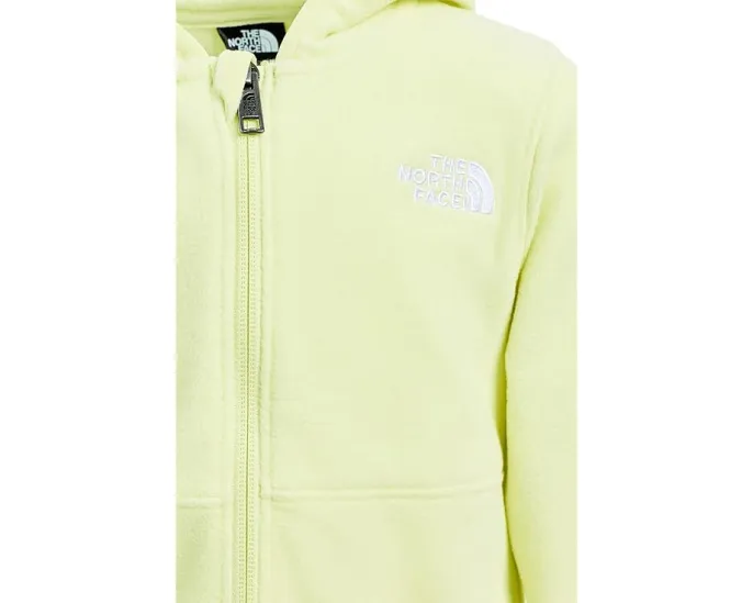 Детская толстовка The North Face Glacier с капюшоном и молнией