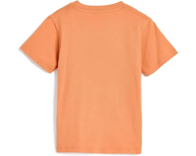 Футболка Lacoste Textured Graphic с принтом для подростков
