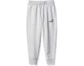Детские спортивные штаны Puma Core Logo Jogger