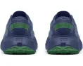 Трейловые кроссовки The North Face Altamesa 300 V2 с амортизацией DREAM